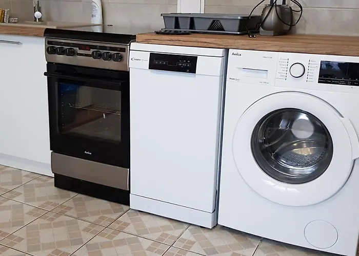 Blueberry Buczkowice